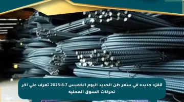 قفزة جديدة في سعر طن الحديد اليوم الخميس 7-8-2025 تعرف على آخر تحركات السوق المحلية